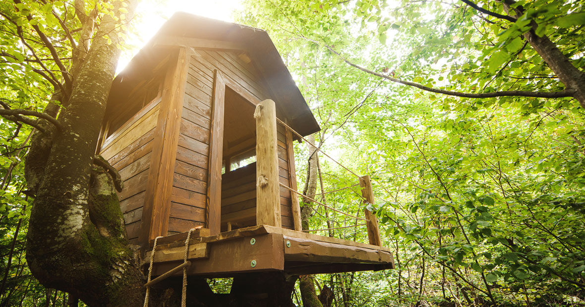 cabane dans les arbres